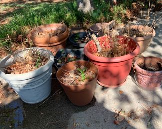 yard pots