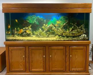 200 Gallon Aquarium System - Comes w/ Everything but the fish!  [Lights, Decor, Oak Stand w/ Lid, High End Filtration System]