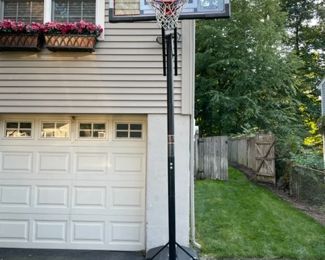Lifetime Basketball hoop