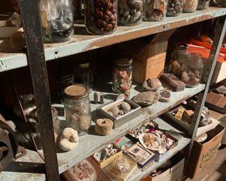 	MASSIVE Rock, Pebble, & Seashell Collection