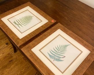 Botanical Framed Art