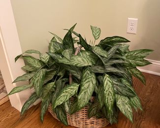 Large Silk Plant