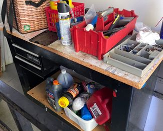 Craftsman Work/Storage Bench