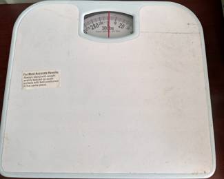 Metal bathroom scale