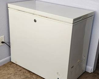 GE Freezer