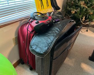 Luggage and soft gun case