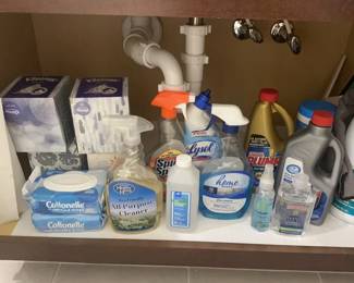 Bathroom Cleaners Under Sink