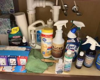 Bathroom Cleaners Under Sink most full