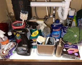 Under Kitchen Sink Contents