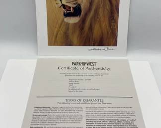 Andrew Bone Young Warrior Seriolithograph COA