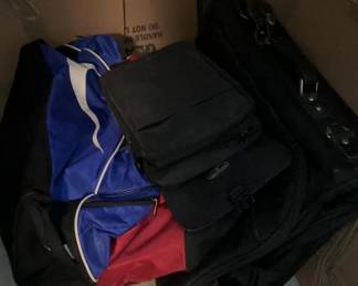 Luggage Bags, Samsonite, Nike