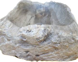 116. Petrified Wood Sink, end. Very Heavy.