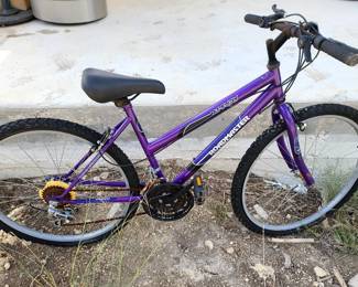 121. $5 -- Purple Bike, some rust
