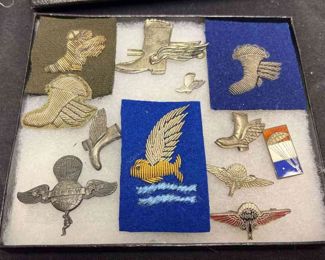 Rip Cord Club of The World, Order of the Winged Boot Gold Fish Club Insignia