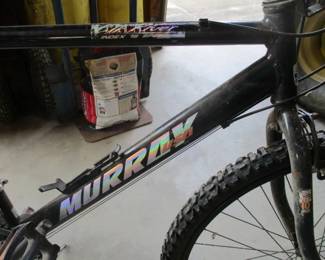 Murray Men's Bicycle