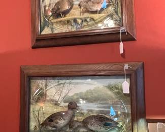 Early dioramas from the 20s