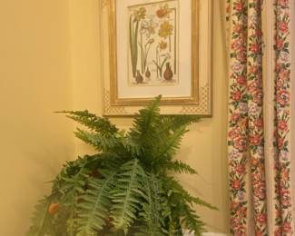  PAIR OF PLANT STANDS AND BOTANICALS