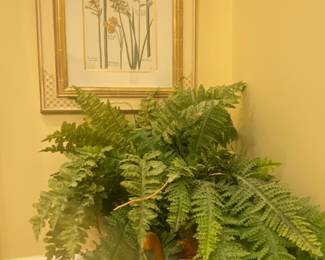 PAIR OF PLANT STANDS AND BOTANICALS