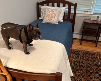 Pair of Single Beds,  for the Kids