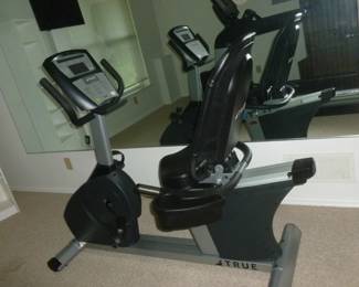 True Fitness Recumbent Bike