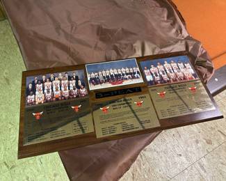 Chicago Bulls plaque