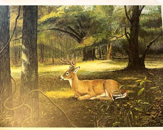 mcDonald print of Deer in state park