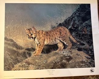 Guy Cohelench wildlife prints