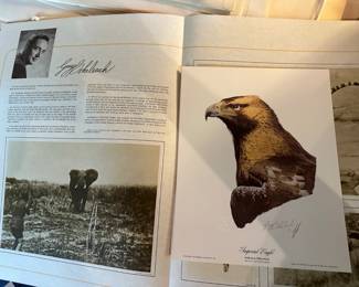 Guy Doheleach wildlife print