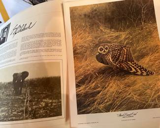 Guy Doheleach wildlife print