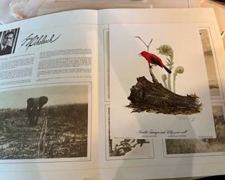 Guy Doheleach wildlife print