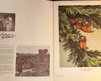 Guy Coheleach wildlife print