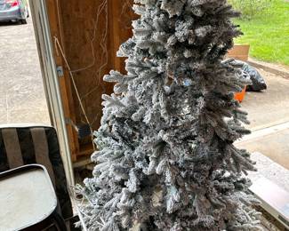 snow tipped Christmas tree 
