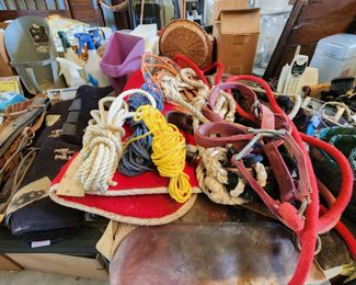 Horse Blankets - Halters - Rope