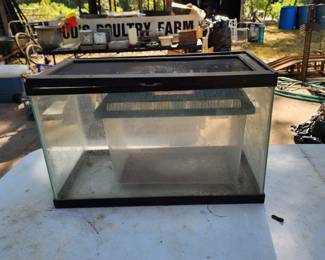 Aquariums for your little critters