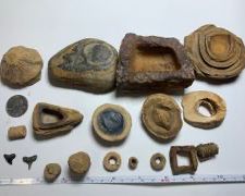 Antique Dug Fossils
