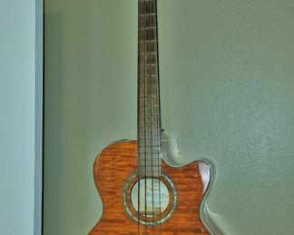 Takamine acoustic guitar