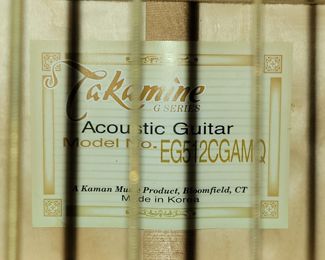 Takamine acoustic guitar 