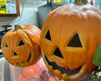 Pumpkins for Halloween!