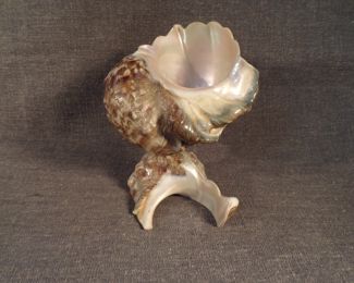 Antique Shell Vase