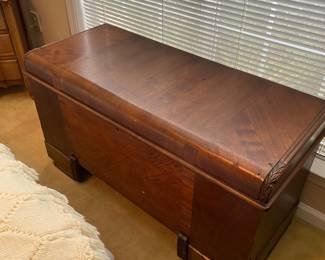 This trunk has been emptied of junk.