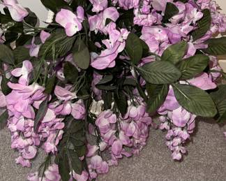 Greenery with Violet plants