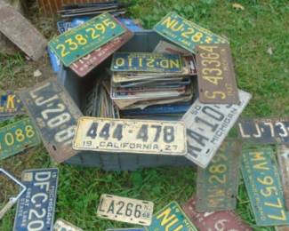 LICENSE PLATES