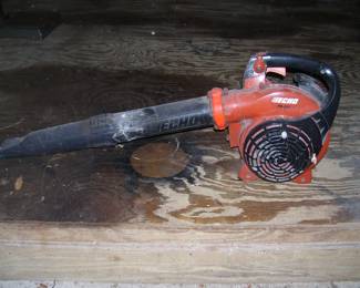 Echo Gas Blower