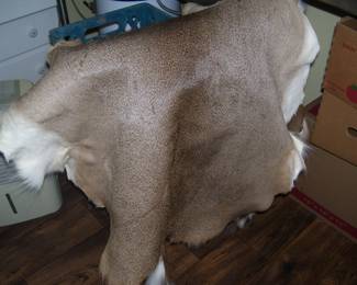 2 Deer Hides