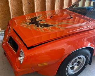 76 Trans Am. see details on this site for directions