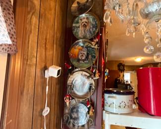 5 plates in plate holder