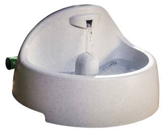 pet water bowl