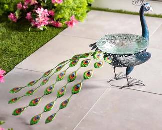 peacock bath