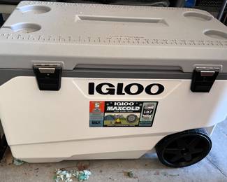 Large Igloo cooler
