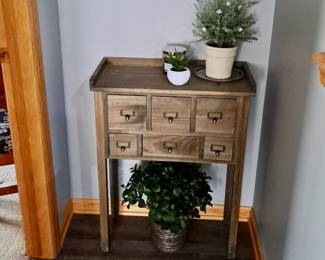 Small 6 Cubby Drawer Table; Framed Wall Art; Assorted Plants.